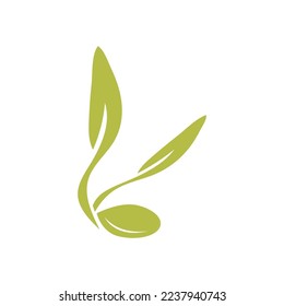 olive icon vector illustration design template