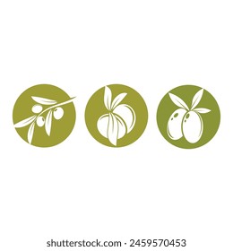 olive icon vector illustration design template