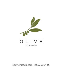 Design-Vorlage für Vektorgrafik-Olivensymbol