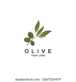 Plantilla de diseño de Ilustración vectorial de icono de oliva