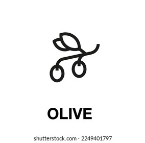 olive icon vector. Linear style sign for mobile concept and web design.olive symbol illustration. Pixel vector graphics - Vector.	