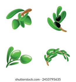 Olive icons set cartoon vector. Green and black olive on branch. Woody plant with fruit, nature