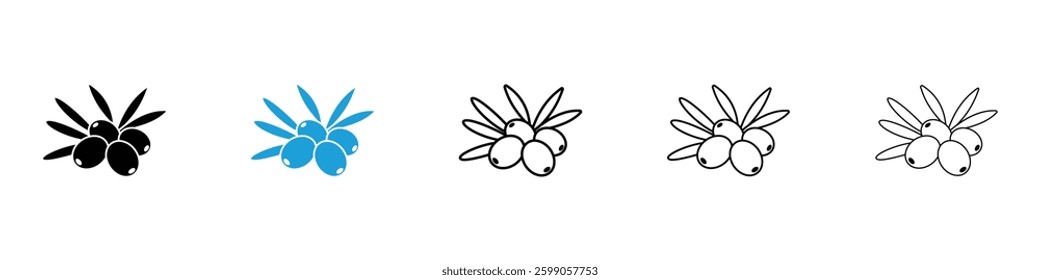 Olive icons vector illustrations in black and blue colors for web and ui designs