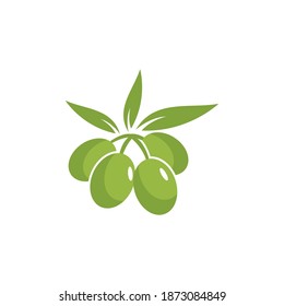 olive illustration logo template vector flat design