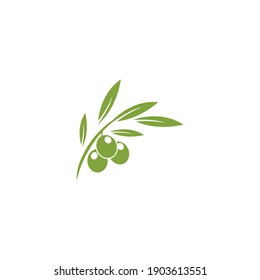 olive illustration logo template vector flat design