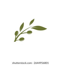 Diseño plano de Vector de Plantilla de logotipo de ilustración de oliva