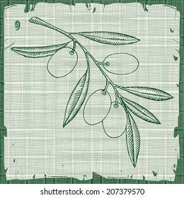 Olive illustration on abstract texture 