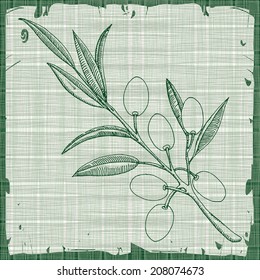 Olive illustration on abstract texture 