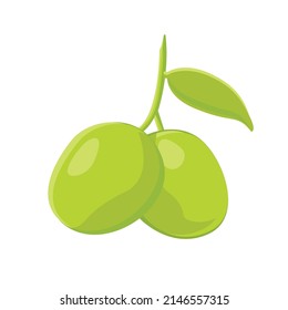 Olive isolated on white background. Vector illustration of fruit.