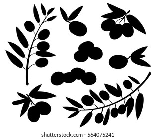 Olive Isolated on White Background. Branch with Olive set vector illustration oil.