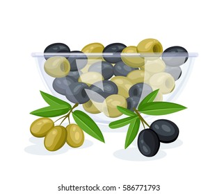 Olive Isolated on White Background. Branch with Olive set vector illustration oil.