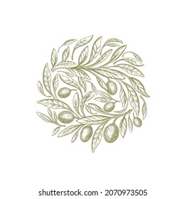 Olive label. Graphic illustration in circle. Vector texture tree, fruit, green leaves on white background. Nature round tag, vintage decor. Greece botanical pattern, italian eat