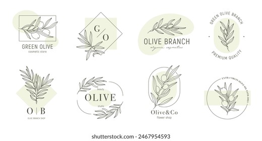 Olive label templates set with olive branches and color shapes in minimal linear style. Vector leaves and olive fruits. Greenery plants and simple frames