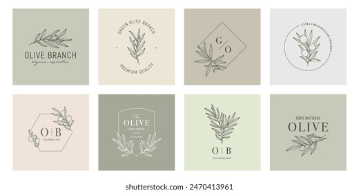 Olive label templates set with olive branches on color backgrounds in minimal linear style. Vector leaves and olive fruits. Greenery plants and simple frames
