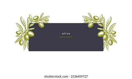 Olive label. Vector texture tree, green fruit, leaves on white background. Nature engraved illustration, hand drawn sketch. Vegan organic oil food