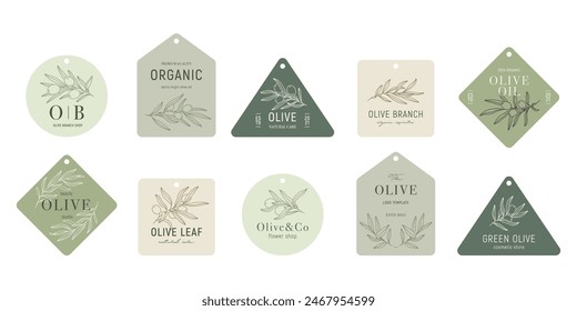 Etiquetas de olivo con ramas de olivo sobre fondos de color en estilo lineal minimalista. Hojas de Vector y frutos de oliva. Plantas verdes y marcos simples