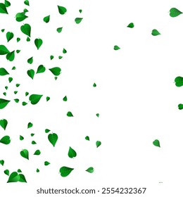 Olive Leaf Abstract Vector White Background Pattern. Transparent Leaves Template. Swamp Greens Tea Concept. Foliage Swirl Branch.