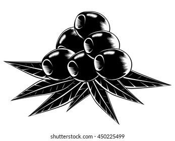 Olive with leaf. Black olives vector illustration. Organic olive oil concept. Isolated on white.