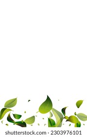 Olive Leaf Blur White Vector Background Plant. Flying Greens Wallpaper. Lime Foliage Transparent Banner. Leaves Motion Pattern.