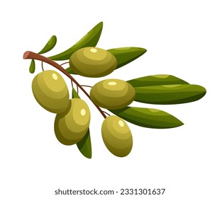 Olive Leaf Branch and Green Olives Isolated on White. Package Design Composition. Vector Illustration in Cartoon Style.