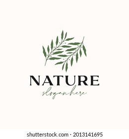 Olive Leaf Branch Logo Template Isolated in White Background