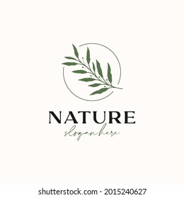 Olive Leaf Branch Logo Template Isolated in White Background