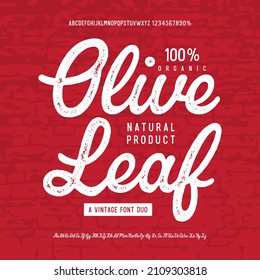 Olive Leaf. Brush Script and Sans Serif Fonts. Vector