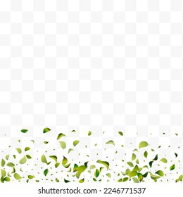 Rama de fondo del vector transparente de hojas de oliva blanca. Fondo de escritorio de la ecología verde. Patrón de desenfoque de hojas verdes. Planta Natural Foliage.