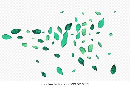 Olive Leaf Flying Vector Transparent Background Banner. Herbal Foliage Template. Lime Greens Fresh Border. Leaves Swirl Illustration.