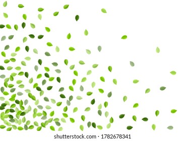 Olive Leaf Forest Vector Design. Blur Foliage Wallpaper. Forest Greens Tea Plant. Leaves Spring Background.