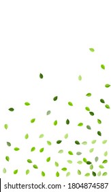 Olive Leaf Forest Vector Template. Motion Foliage Wallpaper. Green Leaves Fresh Banner. Greens Organic Branch.
