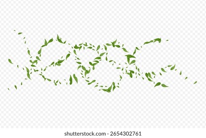 Folha de oliva Vetor Herbal Padrão de Fundo Transparente. Ilustração da folhagem abstrata. Papel de parede de árvore de hortelã verde. Deixa A Natureza Como Fundo.