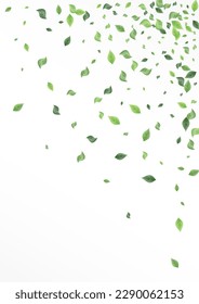 Olive Leaf Herbal Vector White Background Wallpaper. Forest Greenery Concept. Grassy Foliage Blur Illustration. Leaves Fly Backdrop.