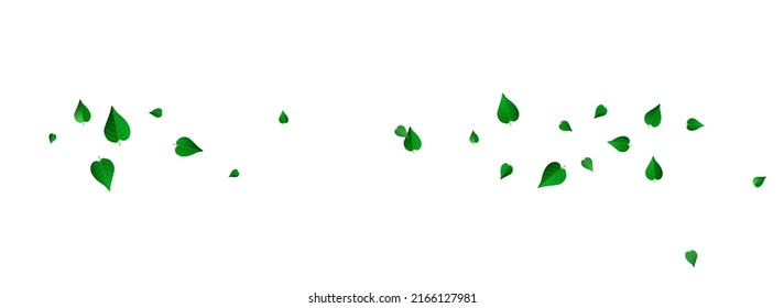 Olive Leaf Nature Vector Panoramic White Background Plant. Forest Leaves Banner. Swamp Greens Organic Branch. Foliage Motion Pattern.