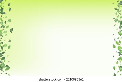 Olive Leaf Organic Vector Green Background Illustration. Realistic Leaves Pattern. Forest Greenery Motion Design. Foliage Flying Wallpaper.