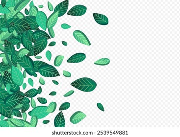 Olive Leaf Organic Vector Transparent Background Banner. Swirl Greens Backdrop. Lime Leaves Blur Border. Foliage Fresh Design.
