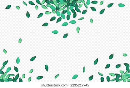 Olive Leaf Spring Vector Transparent Background Border. Abstract Greens Banner. Forest Foliage Fly Background. Leaves Organic Template.