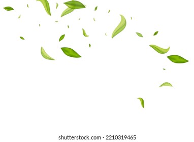Olive Leaf Swirl Vector White Background. Tea Leaves Design. Swamp Foliage Fresh Wallpaper. Greens Nature Illustration. - Shutterstock ID 2210319465