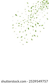 Olive Leaf Swirl Vector White Background Pattern. Abstract Foliage Design. Green Leaves Ecology Banner. Greens Fly Backdrop.