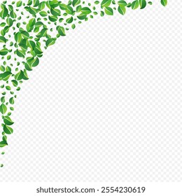 Olive Leaf Transparent Vector Transparent Background. Tea Leaves Branch. Grassy Greens Abstract Pattern. Foliage Fresh Illustration.