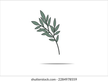 olive leaf vector hand drawn design