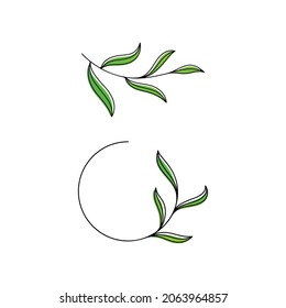 Olive leaf vector illustration design template