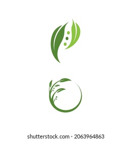 Olive leaf vector illustration design template