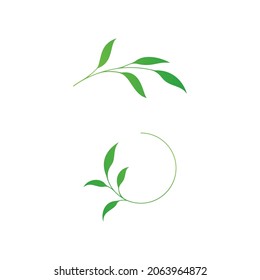 Olive leaf vector illustration design template