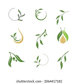 Olive leaf vector illustration design template