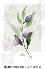 Olive leaf watercolor vector design great for cards, banners, headers, party posters or decorate your artwork.