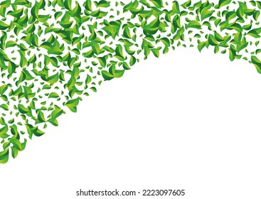Olive Leaf Wind Vector White Background. Falling Foliage Pattern. Grassy Leaves Spring Wallpaper. Greens Organic Brochure.