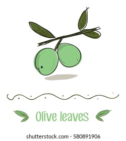 olive leaves