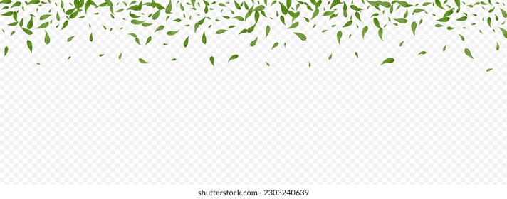Olive Leaves Abstract Vector Panoramic Transparent Background Banner. Wind Greens Pattern. Grassy Foliage Tree Design. Leaf Fly Poster.