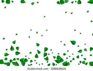 Olive Leaves Blur Vector White Background Branch. Tea Foliage Border. Forest Leaf Herbal Pattern. Greens Spring Plant.